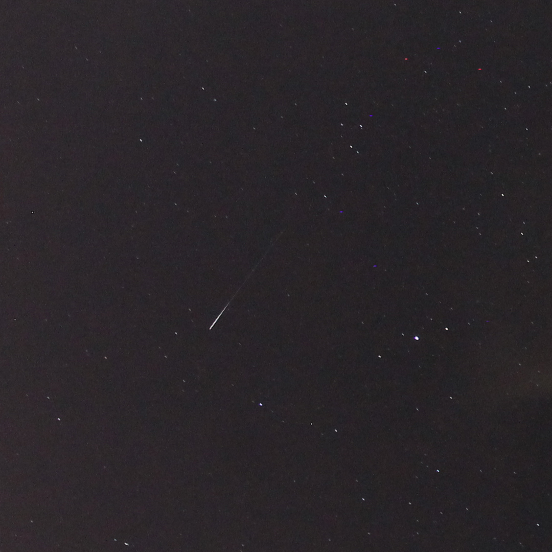 Is This A Perseid